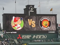 甲子園。。。
